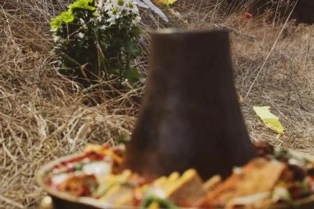 大林木命上坟的忌讳详解 上坟有什么风水禁忌