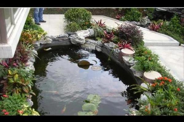 房子后边有鱼塘好不好风水