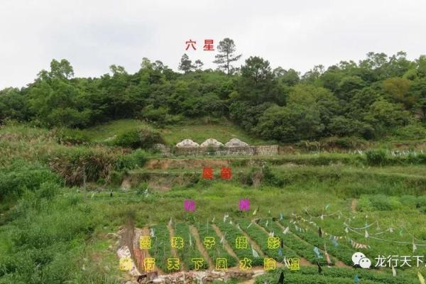 为何祖坟风水与后人息息相关？