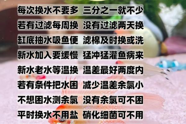 养鱼喜忌：家庭养鱼的风水讲究