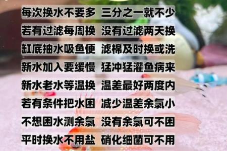养鱼喜忌：家庭养鱼的风水讲究