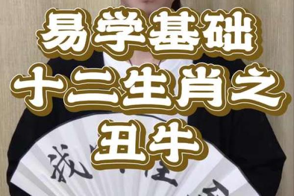 生肖解惑之丑牛必看的开运风水