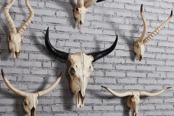 鹿角风水是中国传统文化中的重要组成部分