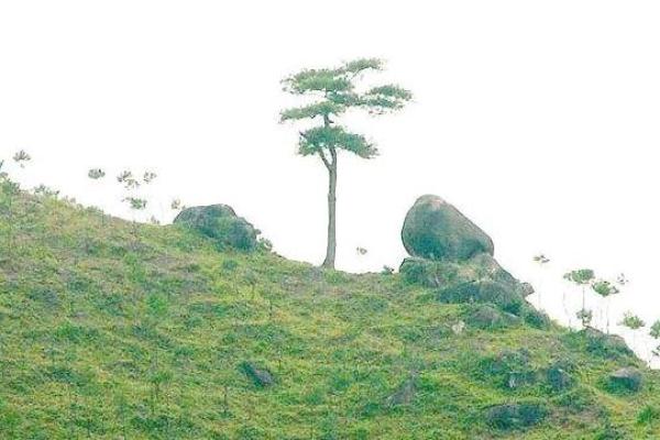 中国风水文化第一村：三僚村