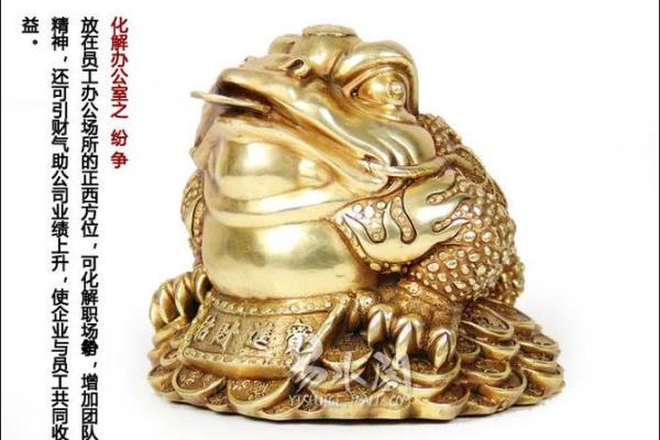 袜子风水行大运、除小人、旺财