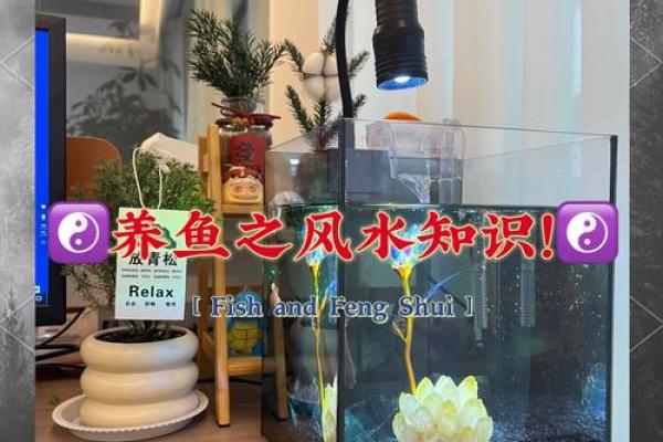 二楼养鱼风水
