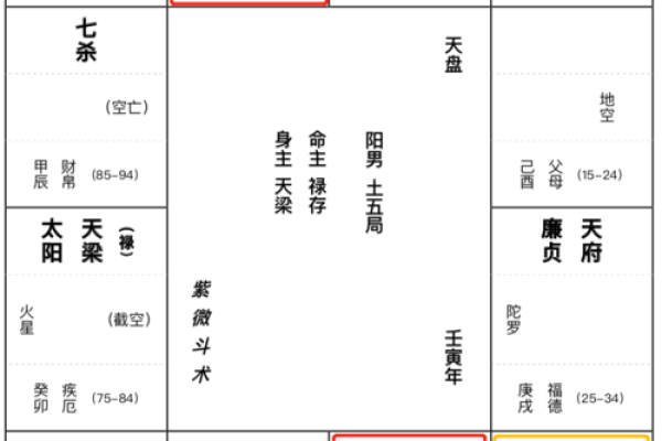 八字紫微星是什么意思