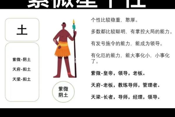 八字紫微星是什么意思