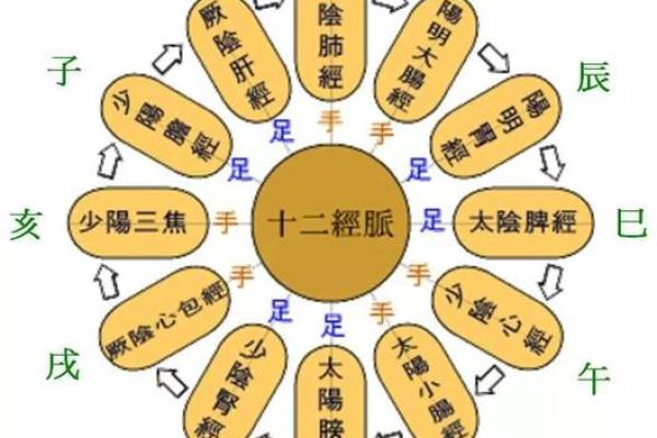 哪些风水会对心脏产生影响