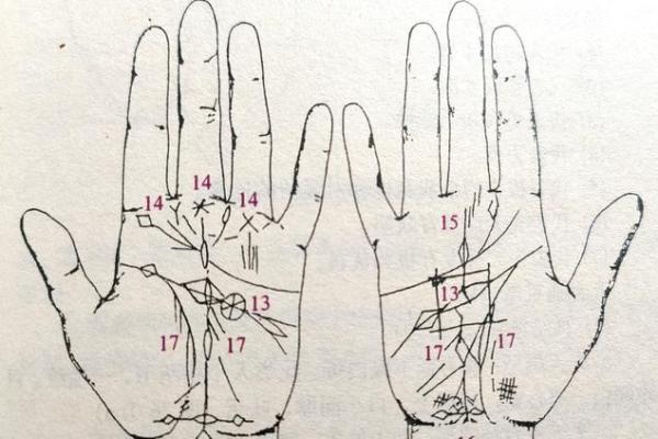 《手相学习百科》：命运线