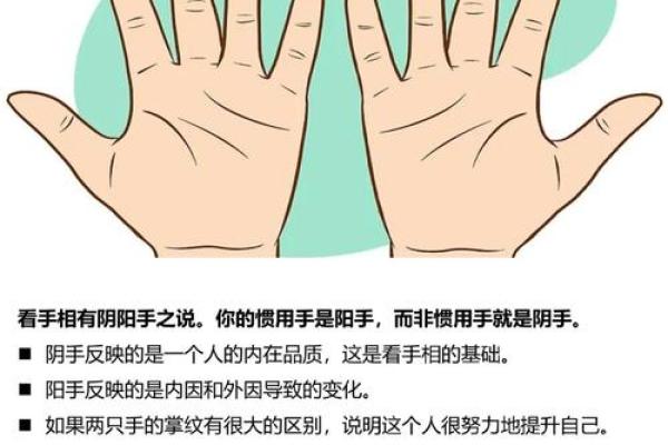 《手相学习百科》：命运线