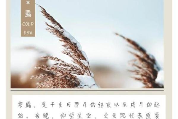 寒生露凝，透过民俗望寒露禁忌