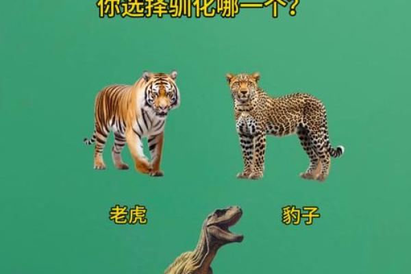 测试双方姻缘 测试双方姻缘