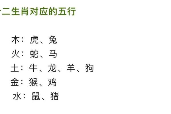 八字中火代表什么