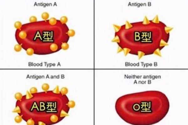 不同的血型都各讨厌什么