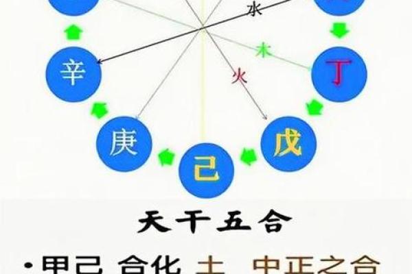八字地支合 八字地支合
