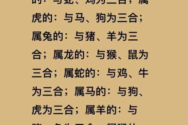 鼠属十二生肖之首黄金配对无人敌
