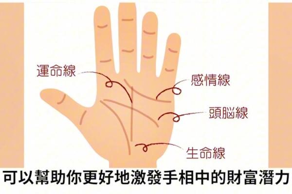 《手相学习百科》:手的形状 《手相学习百科》:手的形状