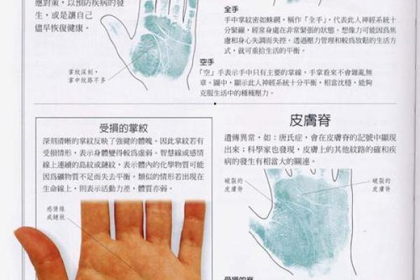 《手相学习百科》:手的形状 《手相学习百科》:手的形状