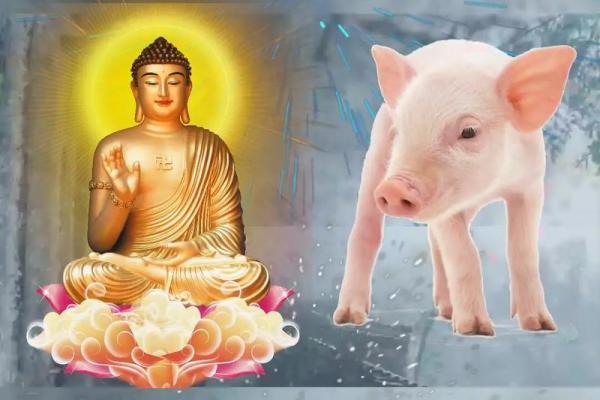 83年属什么的生肖多大岁数 83年属什么的生肖配对