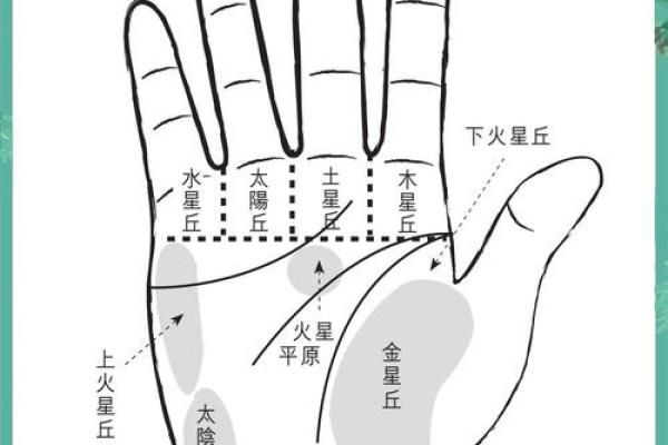 《手相学习百科》:掌丘 《手相学习百科》:掌丘