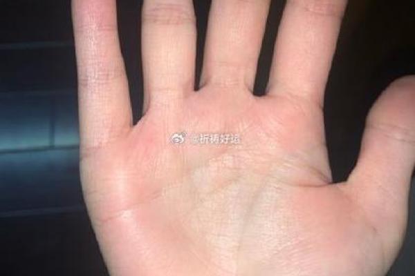 《手相学习百科》:掌丘 《手相学习百科》:掌丘