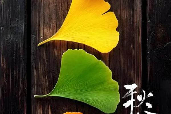 秋分前节气 秋分是什么节日