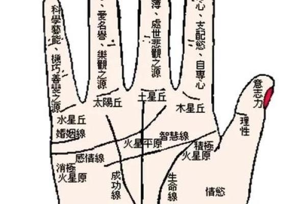 《手相学习百科》:手相健康记号 《手相学习百科》:手相健康记号