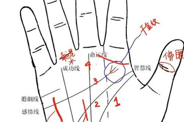 《手相学习百科》:手相看事业、职业 《手相学习百科》:手相看事业、职业