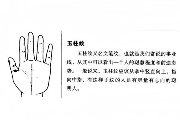 《手相学习百科》:手相看事业、职业 《手相学习百科》:手相看事业、职业