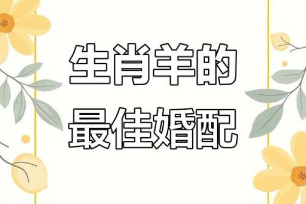 属羊的女人和什么属相最配对 属羊的女人和什么属相最配婚姻