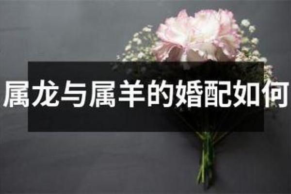 属羊的女人和什么属相最配对 属羊的女人和什么属相最配婚姻