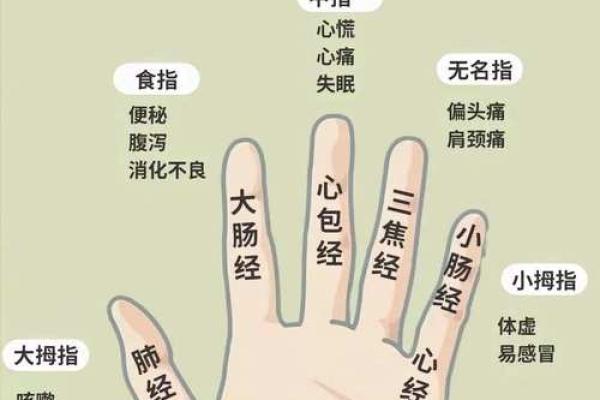 《手相学习百科》：手指