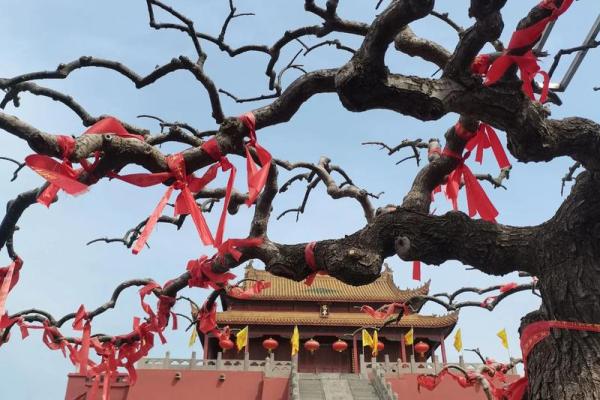 农历三月三道教佛教仙家的节日是哪位神仙的生日 农历三月三道教佛教仙家的节日是哪位神仙的生日