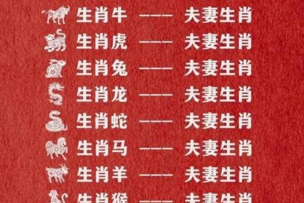 12生肖男女最佳配对 哪些生肖男女最适合搭配成为最佳配对