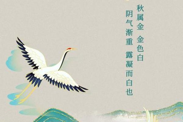 白露节气的含义是什么 白露时节有什么民俗活动