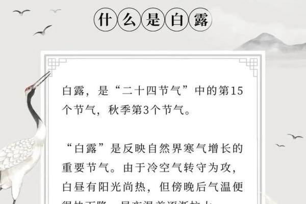 白露节气的含义是什么 白露时节有什么民俗活动