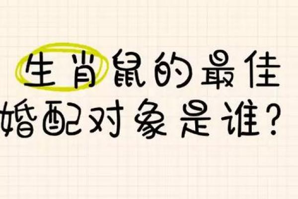 鼠跟什么生肖配对最好 生肖鼠最佳配对 鼠跟什么生肖配对最好 生肖鼠最佳配对