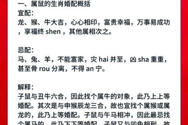 鼠跟什么生肖配对最好 生肖鼠最佳配对 鼠跟什么生肖配对最好 生肖鼠最佳配对