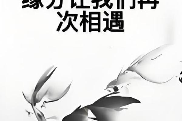 测试缘分图片壁纸 免费测试缘分精准的？