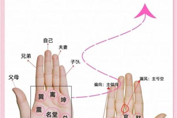 《手相学习百科》:手相看家庭与遗传 《手相学习百科》:手相看家庭与遗传