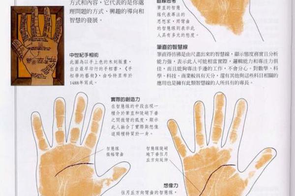 《手相学习百科》:手相看家庭与遗传 《手相学习百科》:手相看家庭与遗传