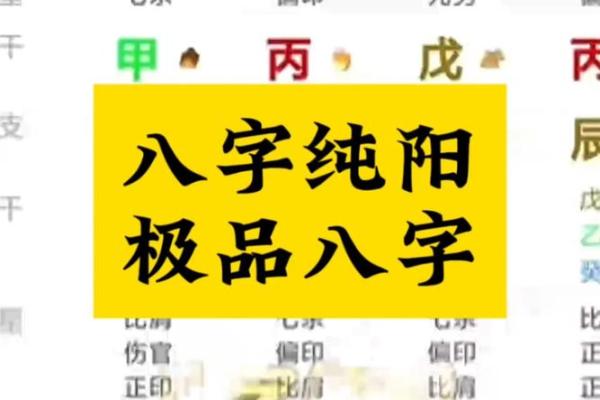 八字纯阳女 八字纯阳女