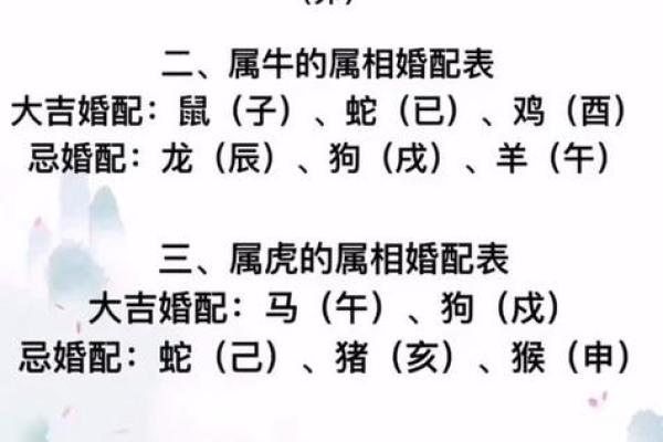 1962年属什么生肖啥命 1962年属什么生肖配对