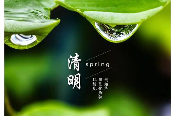 清明节前一天是什么节日 清明节又叫什么节-