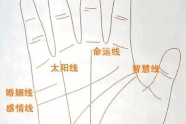 《手相学习百科》：掌纹介绍