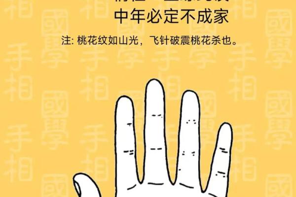 《手相学习百科》：掌纹介绍