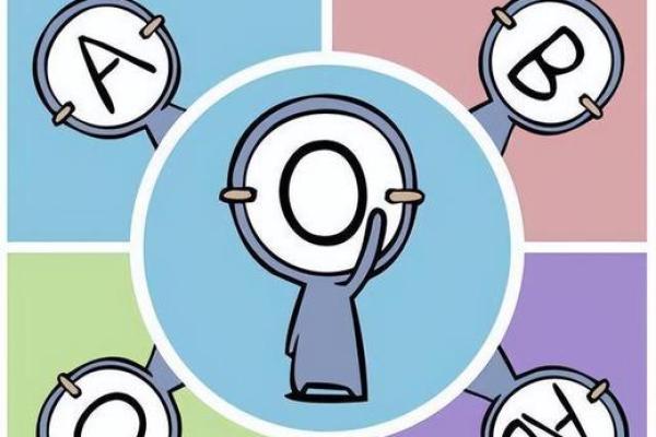 智商排行榜的4大血型有哪些呢