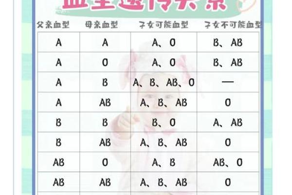 智商排行榜的4大血型有哪些呢