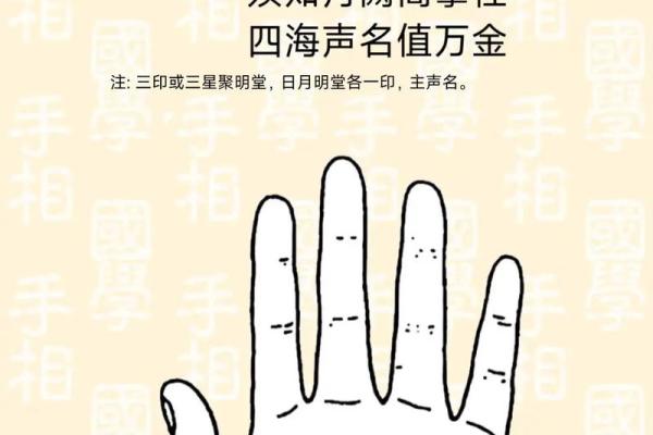 《手相学习百科》：手纹看退休